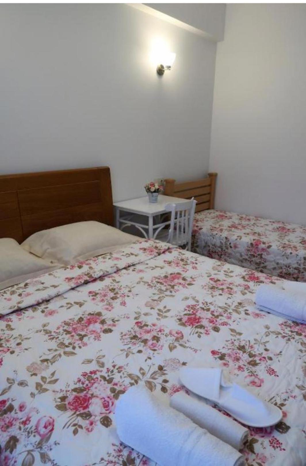 Guesthouse Ellie- Elisabeth Adishi Bagian luar foto